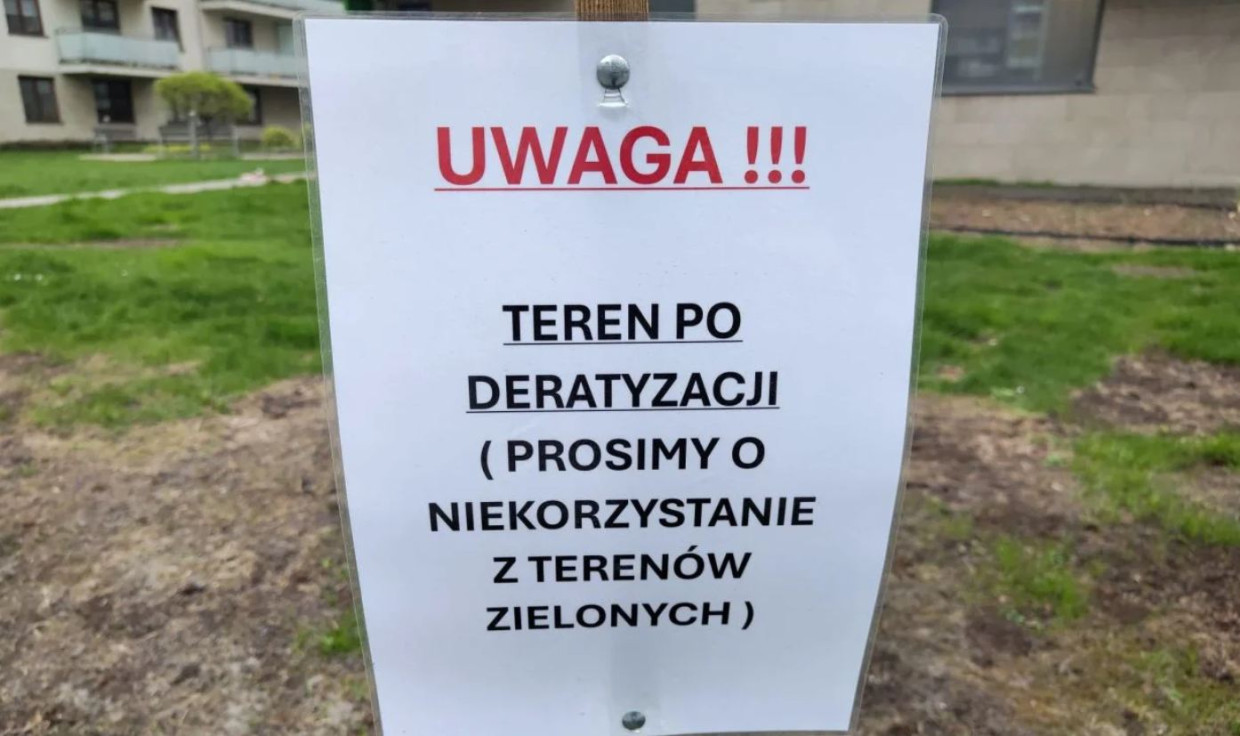 Kraków walczy ze szczurami