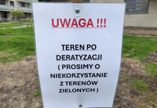 "szczur"