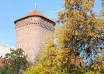 "Wawel"