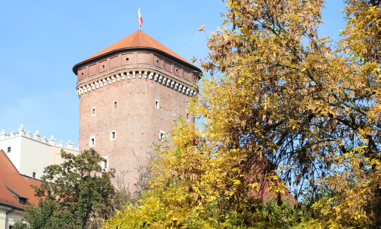 Tłumy ruszą na Wawel. Przez cały listopad zwiedzanie za darmo